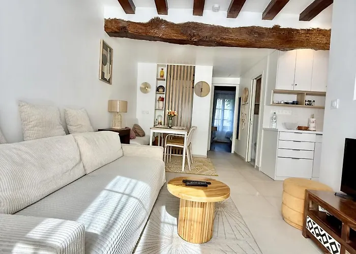公寓 Center Near Notre Dame 2 Bedrooms With Balcony
