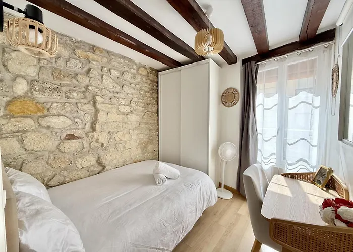 Center Near Notre Dame 2 Bedrooms With Balcony