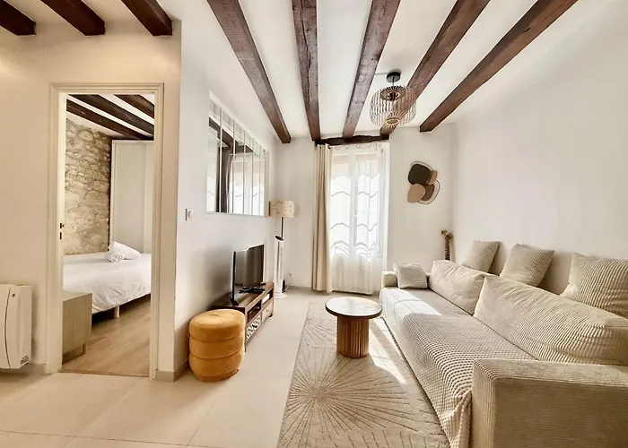 Center Near Notre Dame 2 Bedrooms With Balcony 巴黎