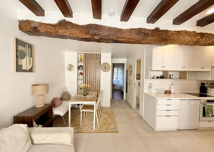 Center Near Notre Dame 2 Bedrooms With Balcony
