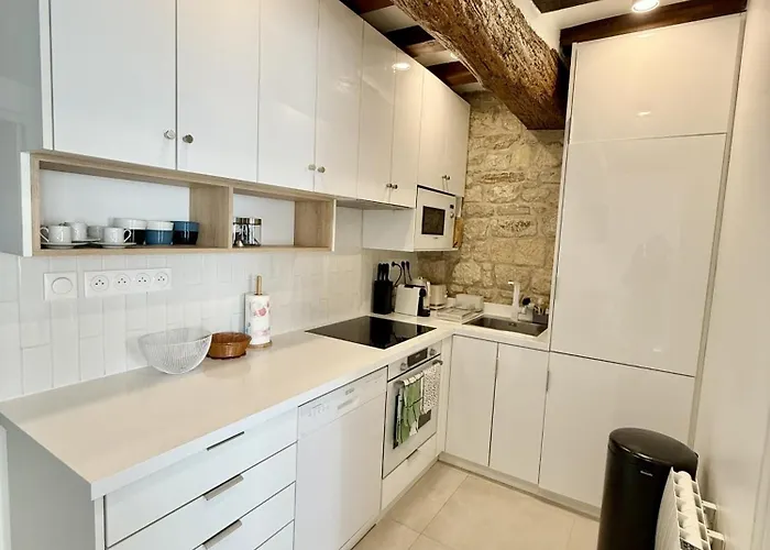 Center Near Notre Dame 2 Bedrooms With Balcony 公寓