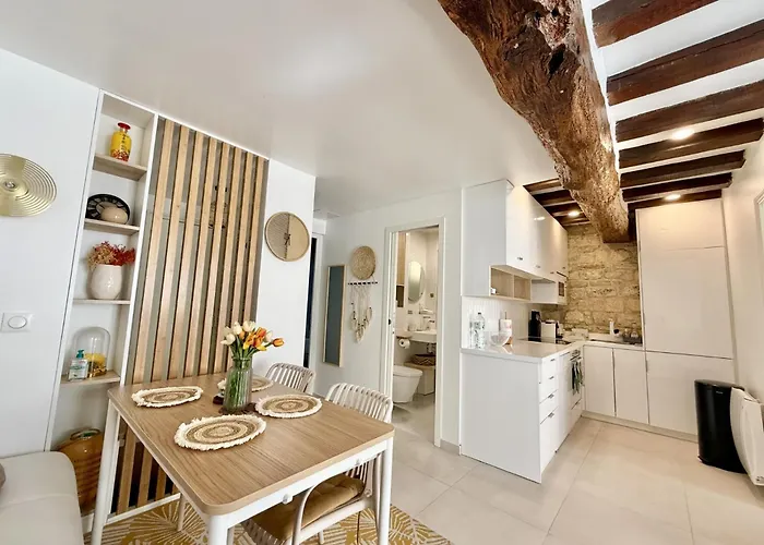 公寓 Center Near Notre Dame 2 Bedrooms With Balcony 巴黎