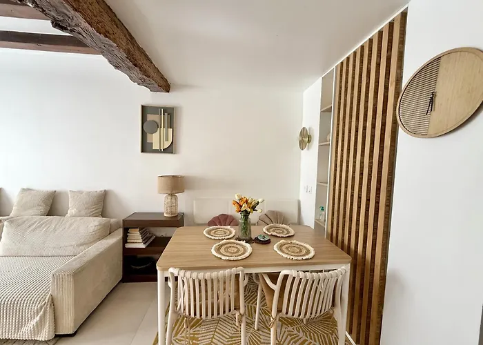 Center Near Notre Dame 2 Bedrooms With Balcony *