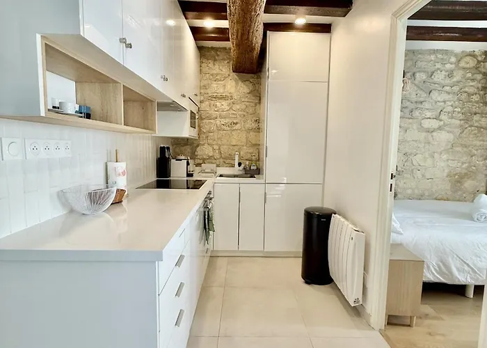 Center Near Notre Dame 2 Bedrooms With Balcony 公寓 *