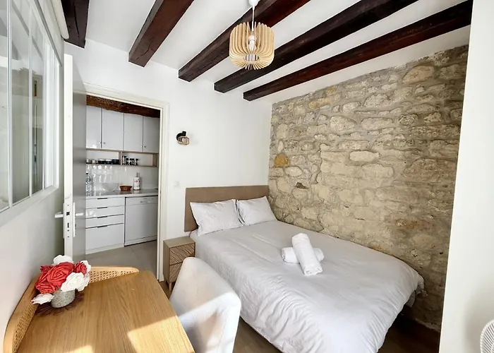 公寓 Center Near Notre Dame 2 Bedrooms With Balcony 巴黎